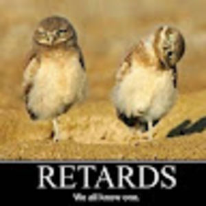 Meet your Posher, Jimmy